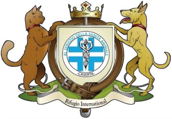 Logo di RIFUGIO INTERNATIONAL di DI NUZZO VINCENZO